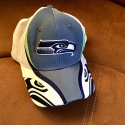Seattle Seahawks 