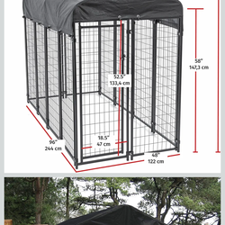 Lucky Dog Kennel