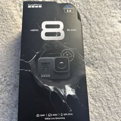 Go Pro Hero 8 Black Brand New In Box