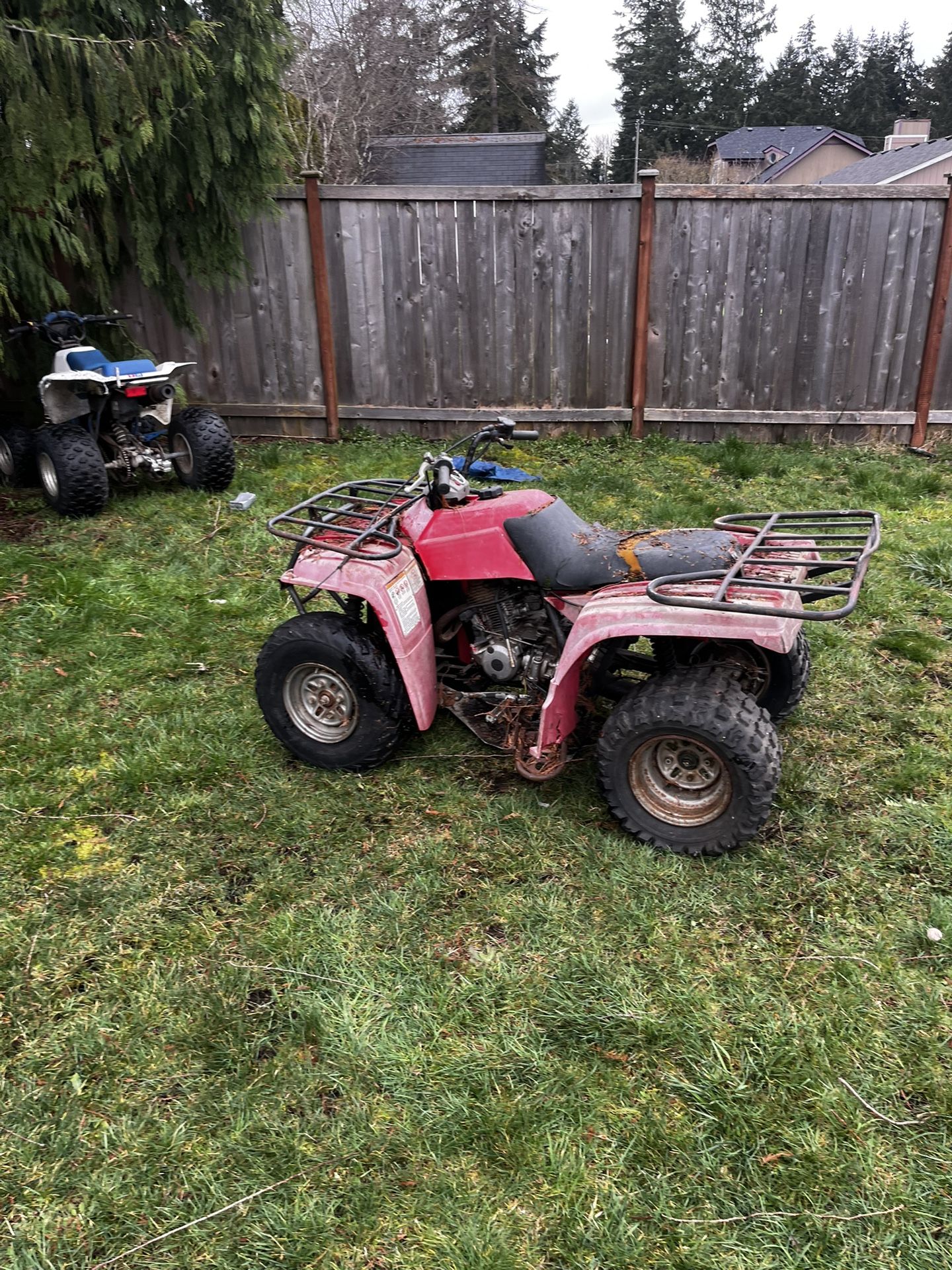 Yamaha bear tracker 1999 250