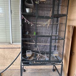 Large bird cage 69 inch