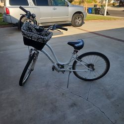 Townie. Electra Bicycle
