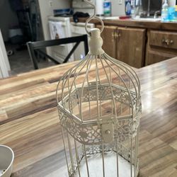 Bird Cage 