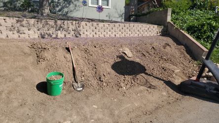 Dirt