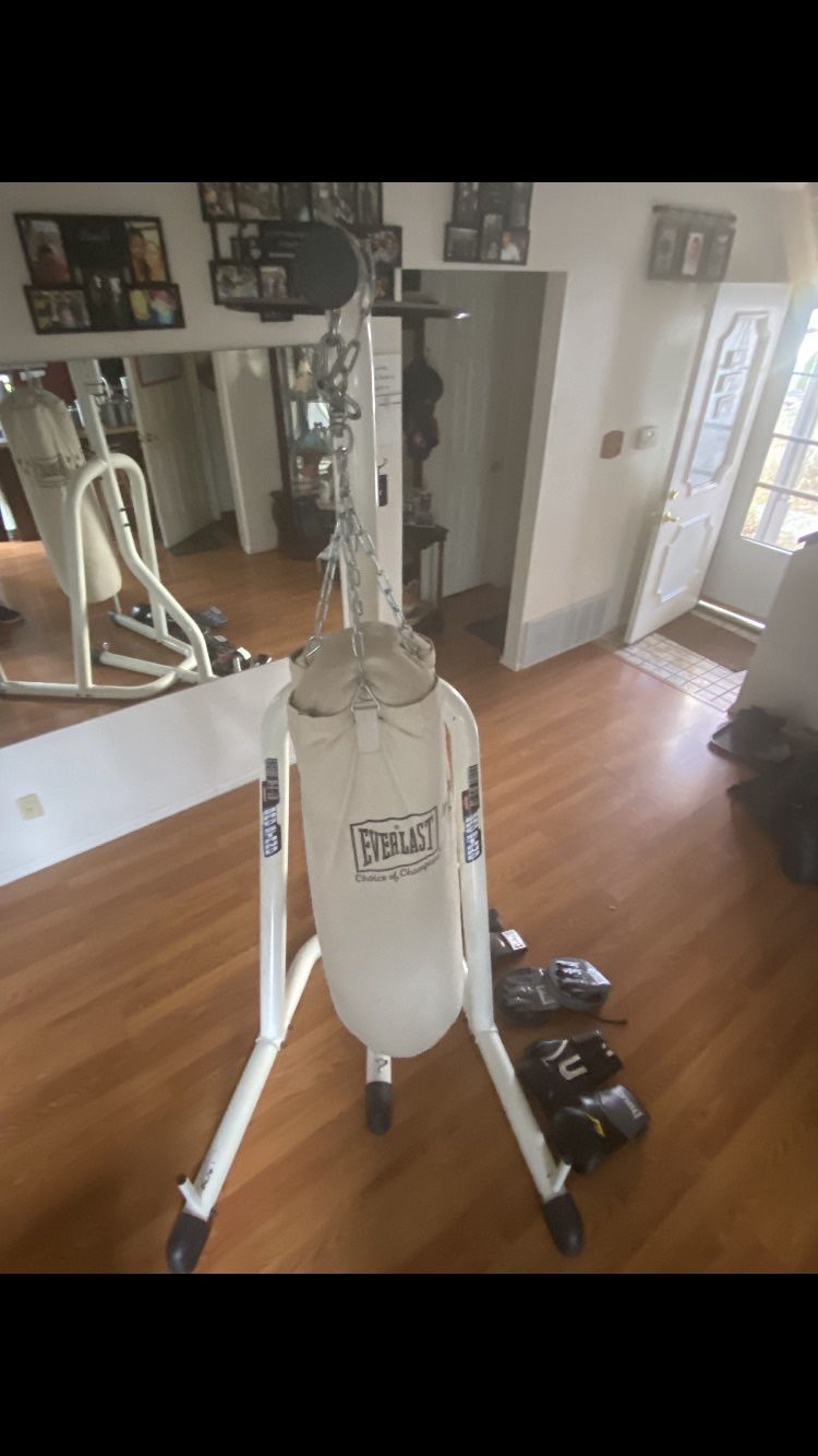 Free Standing Boxing Gym 