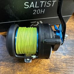 Daiwa Saltist 20h And Daiwa Coastal TWS 200hs