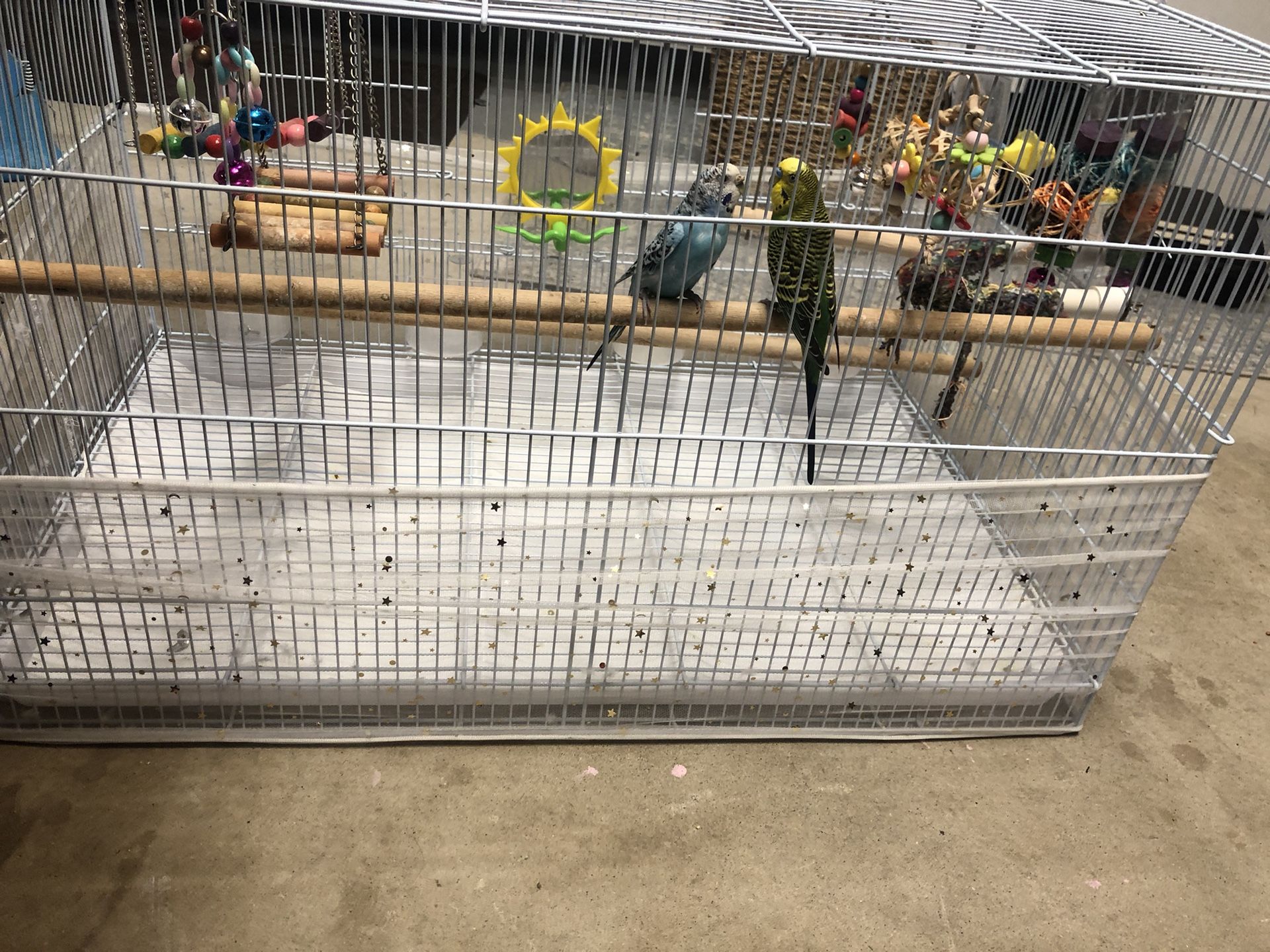 Bird Cage For Parakeets, Conures, Finches, Etc…