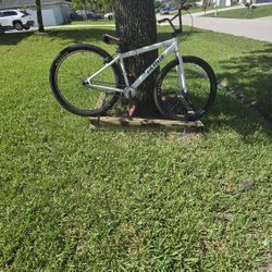 Big Flyer Se Bike 29 inch