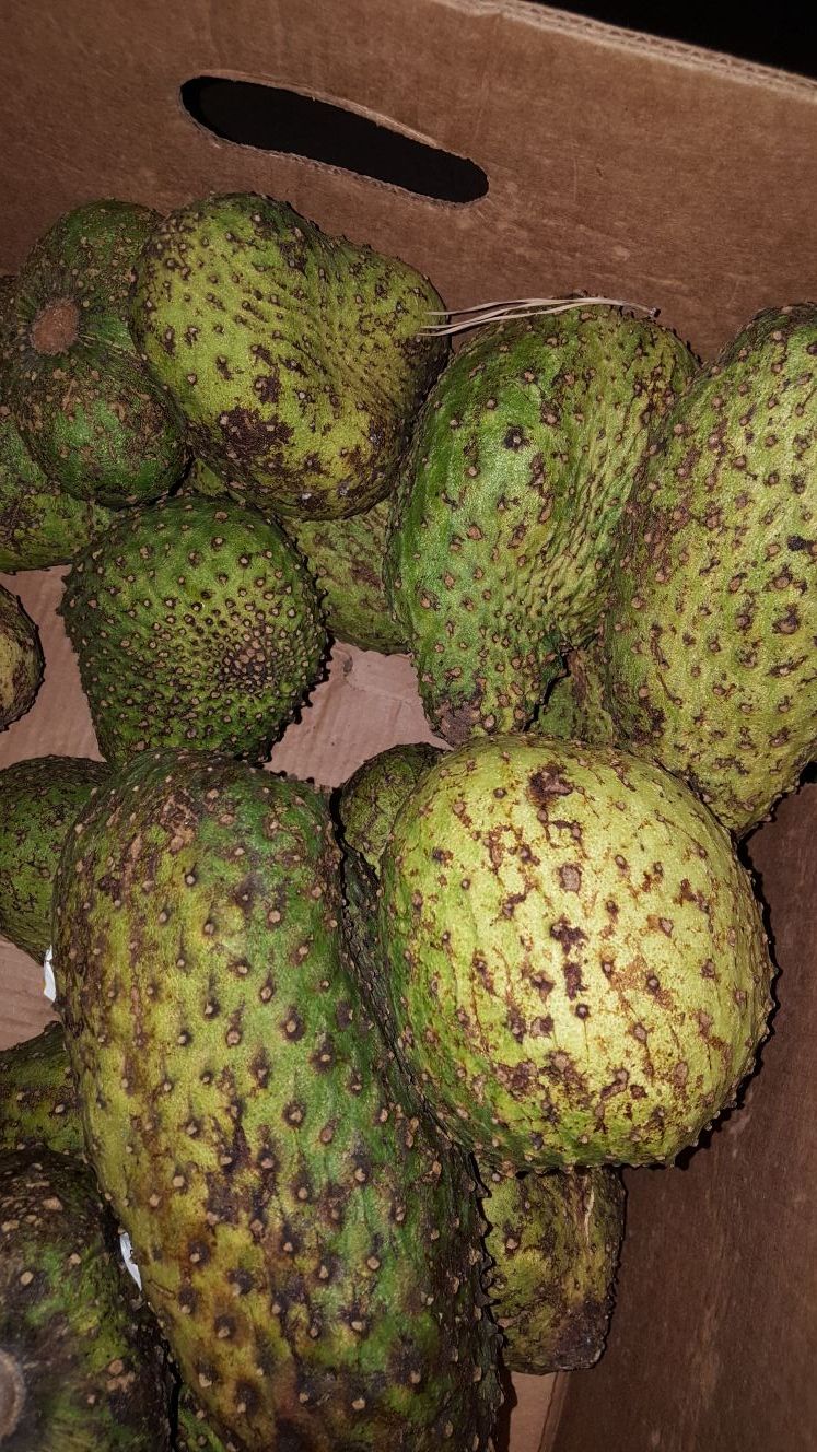 Guanabana