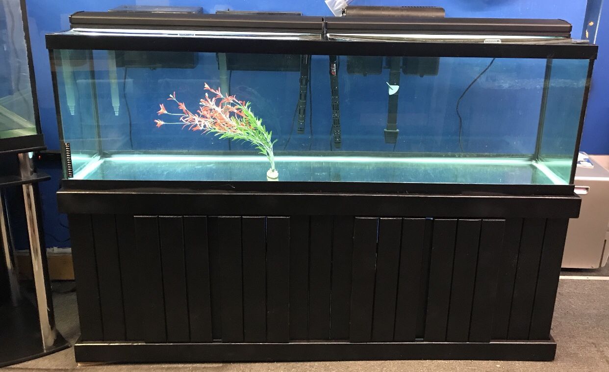 125 gallon Aquarium fish tank complete set up $500