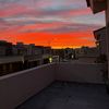 Moises