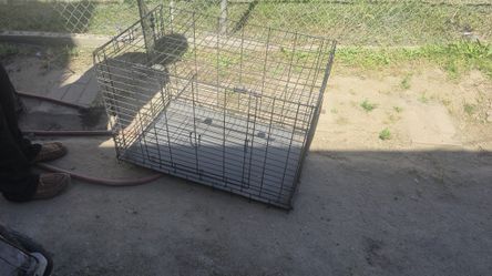 dog cages