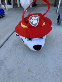 Paw patrol bucket