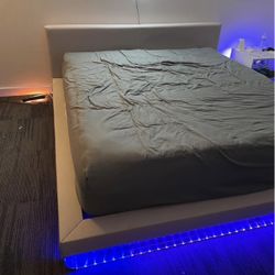 Modern Upholstered Platform California king Bed Frame 