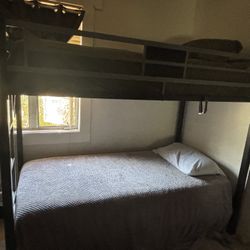 Bunk Beds