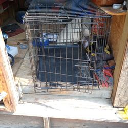 Medium Dog Kennel