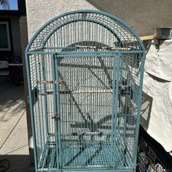 Bird Cage 