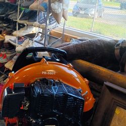 Echo Blower Sopladora $180