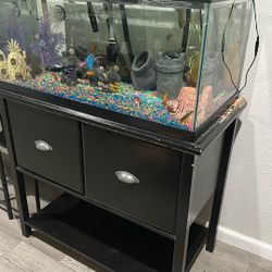 Clear, Glass Fish Tank With Decoration, Fishes, Frog And Snail