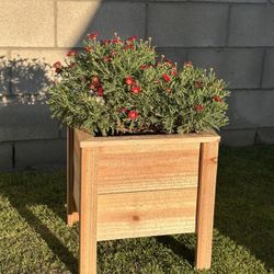 Planter Boxes/ Cedar wood 
