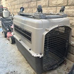 Large Dog 🐕 Crate 