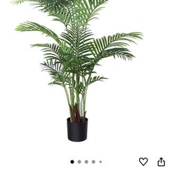 Palm Tree Plant With Pot