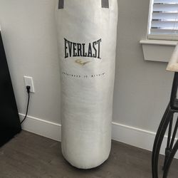Everlast 80 lb punching bag 