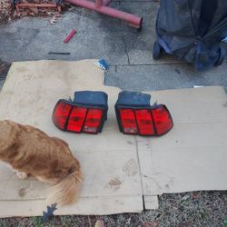 Tail Light Assys. 99-04 Mustang