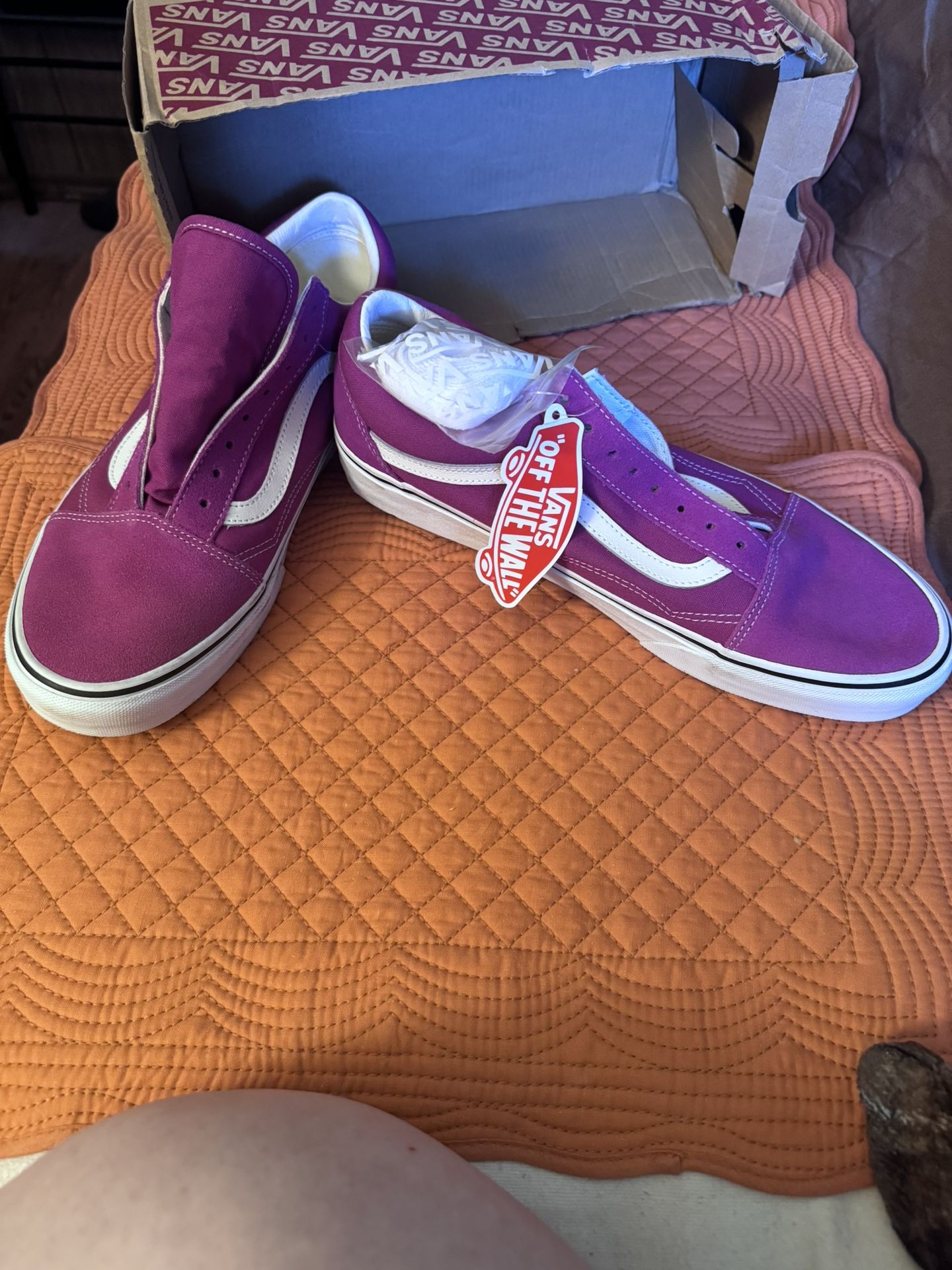 Mens Sz11 Vans