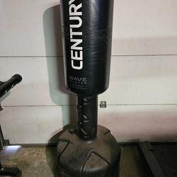 Punching Bag - $120 