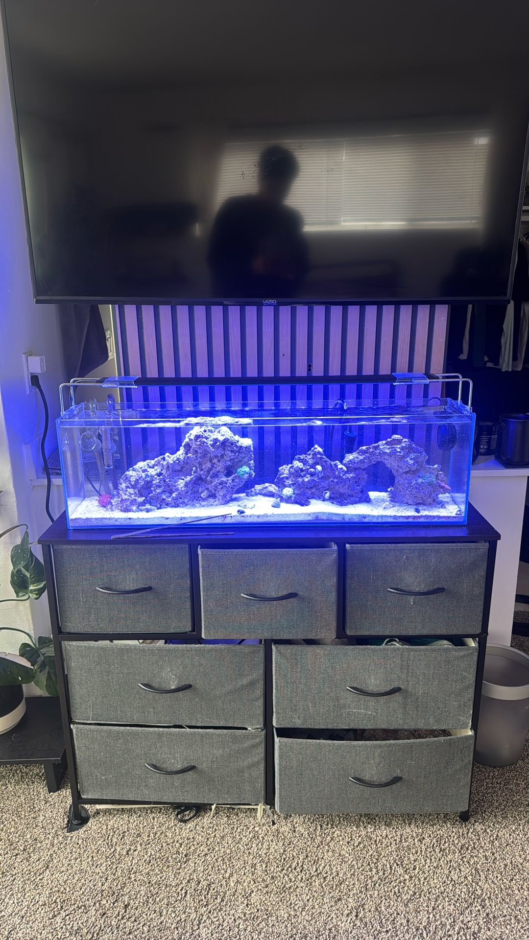 12 Gallon Salt Water Reef Lagoon Style Fish Tank Aquarium