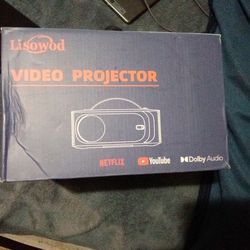 Lisowood Projector