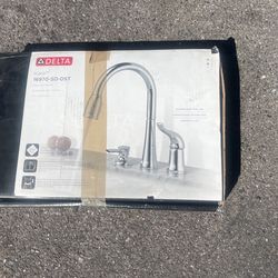 Delta Kitchen Sink 