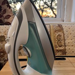 Decen Steam Iron, 1700 W, Lightly Used, Vertical Steam