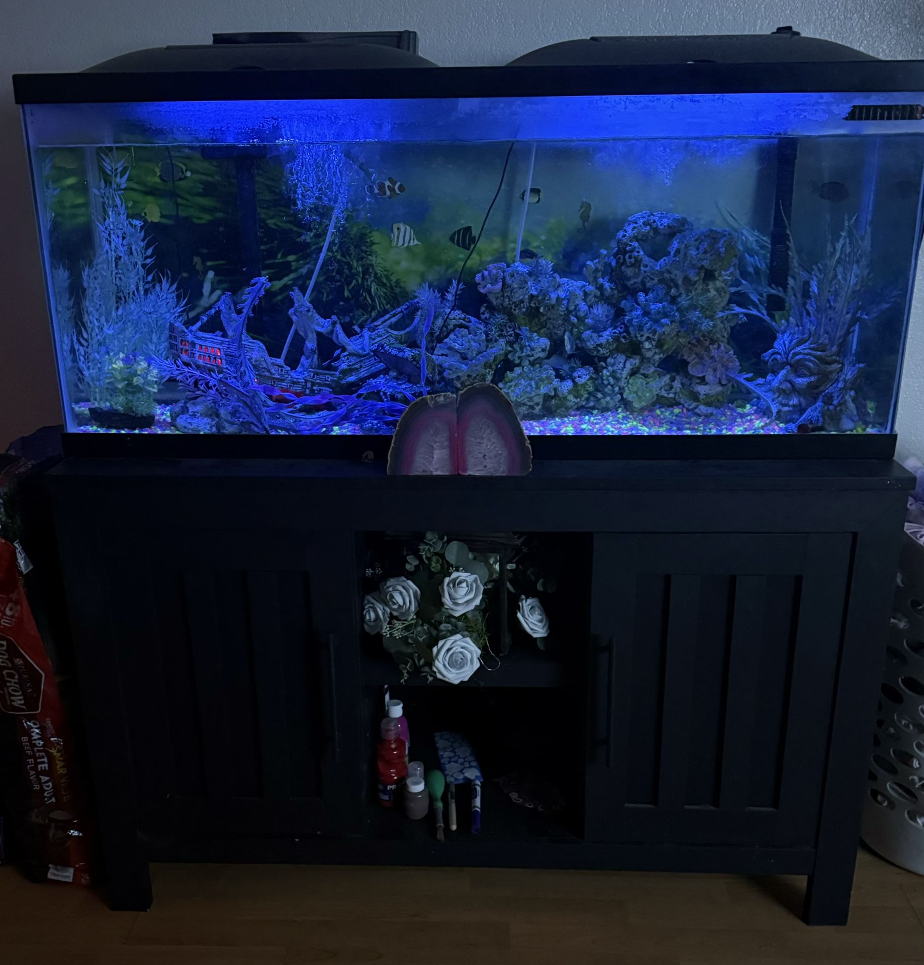 Fish Tank