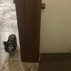 Particle Board Shelves 
