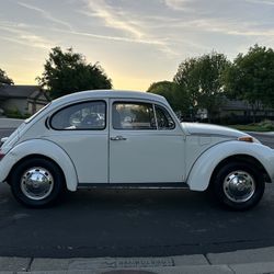 1972 Super Beetle 