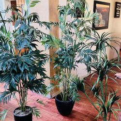 Fake Plants