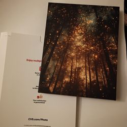 11×14 new starry forest canvas print 