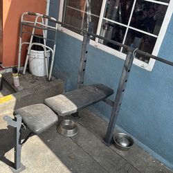 Bench press