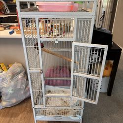  Bird Cage 