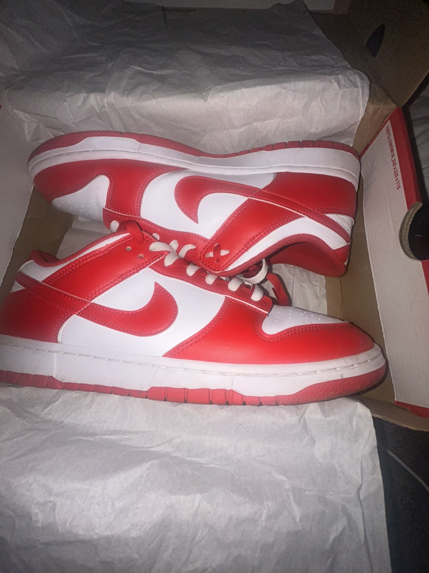 Nike Dunk Low SP