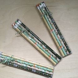 4-pack of Forest Animal Pencils