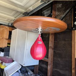 Cleto Reyes Speed Bag