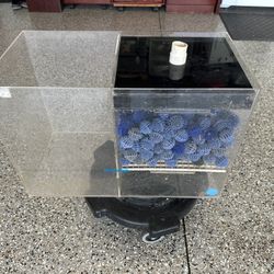Fish Tank Aquarium Wet Dry Filter