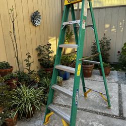 Werner 6 ft. Stepladder