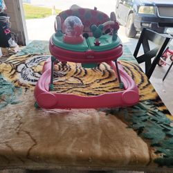 Baby Walker