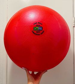 GoFit 65cm Pro Ball Stability Fitness Ball 🔴