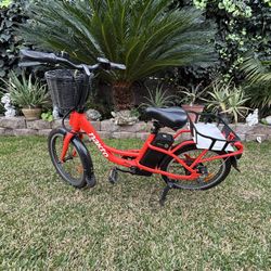Electric Bike