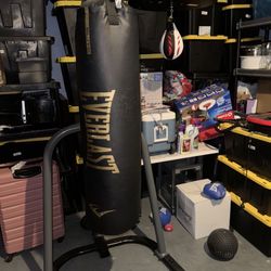 Boxing Bag + Stand With Speed Bag 